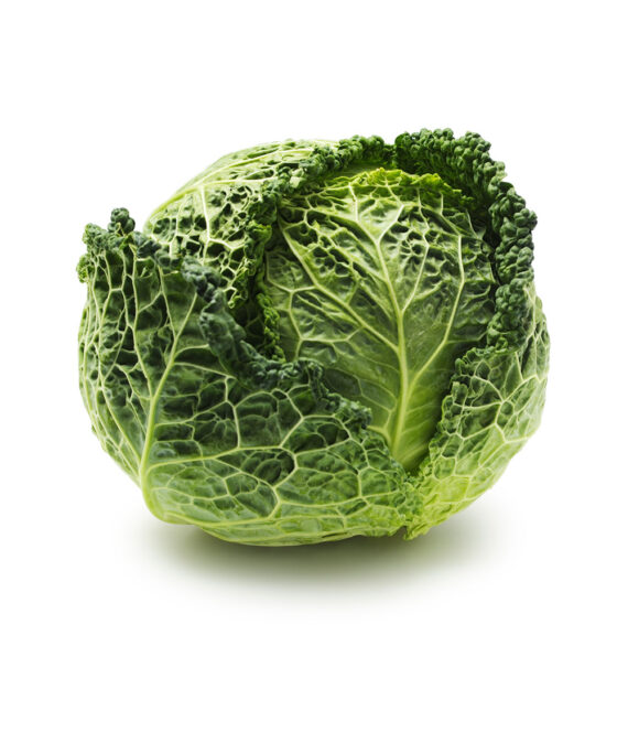 Savoy Cabbage